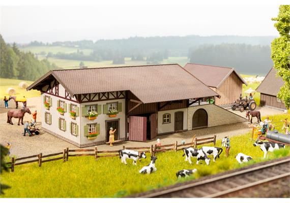 Noch 66714 Bauernhof - H0 (1:87) | Bild 2