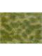 Noch 07253 Bodendecker-Foliage grün/beige, 12 x 18 cm