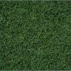 NOCH 50200 Moorboden-Gras 100 g, Beutel verschliessbar | Bild 2