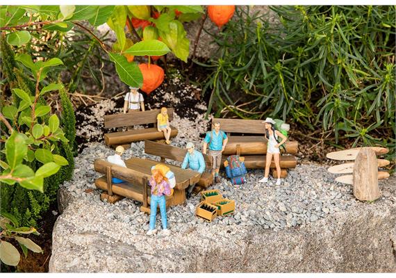 Pola 333226 Rustikale Holzbänke und -tische - G (1:22,5)