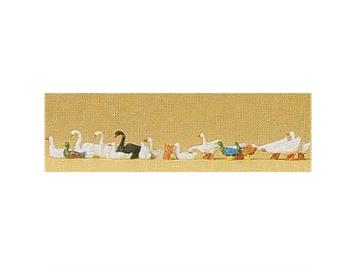 Preiser 14167 "Enten, Gänse, Schwäne"