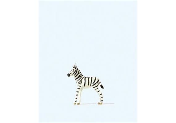 Preiser 29504 junges Zebra HO