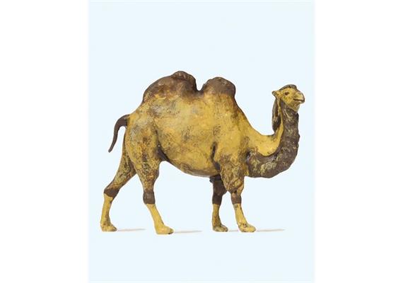 Preiser 29506 Kamel HO