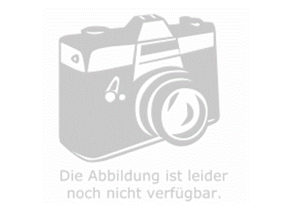 Preiser Kirchgänger 1