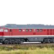 TRIX 22407 Diesellokomotive Baureihe 132 "Ludmilla" DR/DDR - H0 (1:87) | Bild 1
